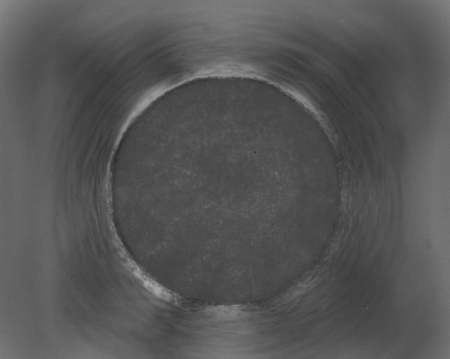 X0000080670990200701121628