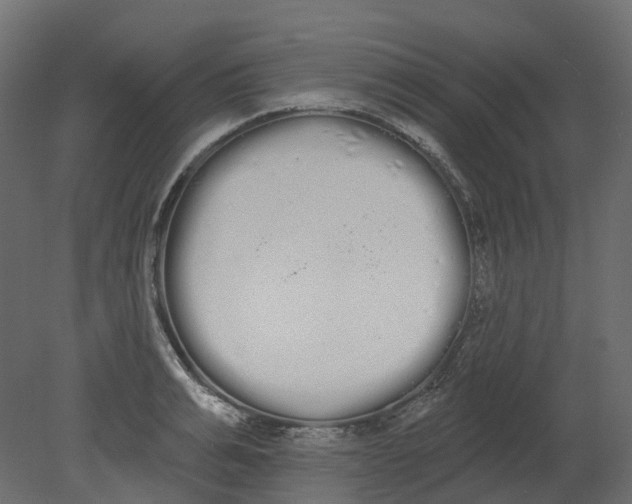 X0000080670991200701121628