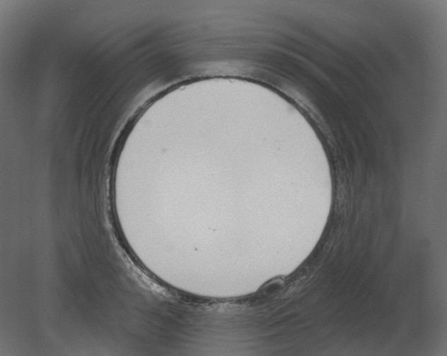 X0000080670992200701121628