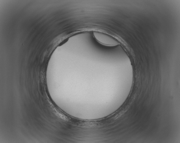 X0000080670993200701121628