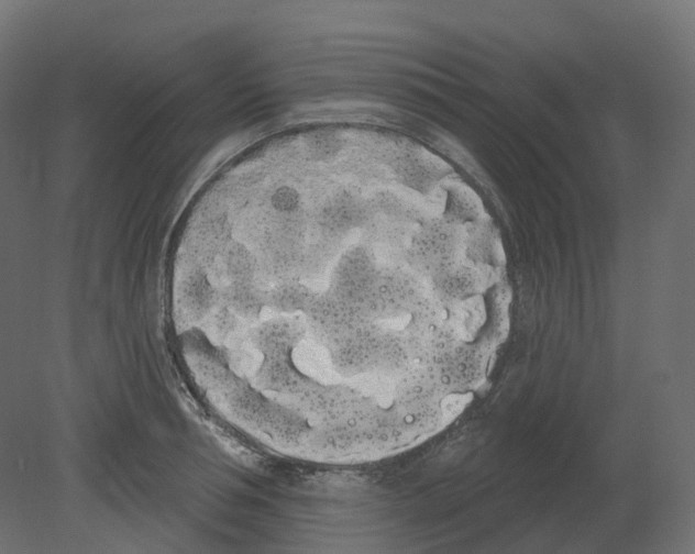 X0000080670994200701121628