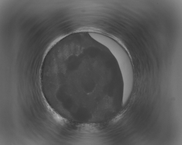 X0000080670995200701121628