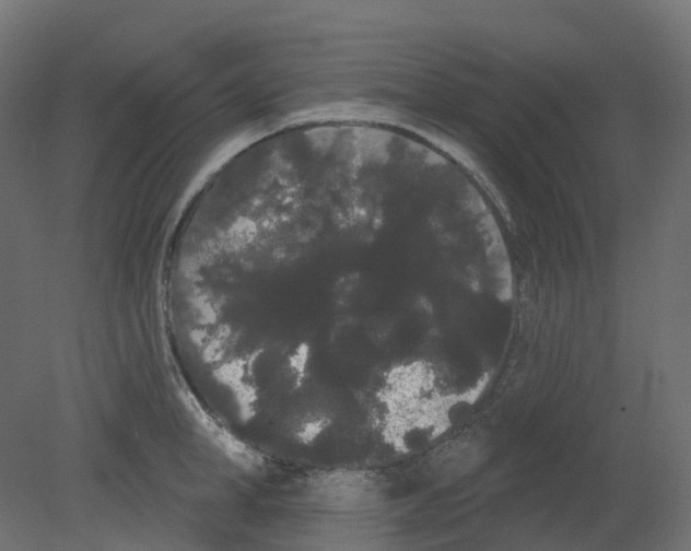 X0000080670998200701121628