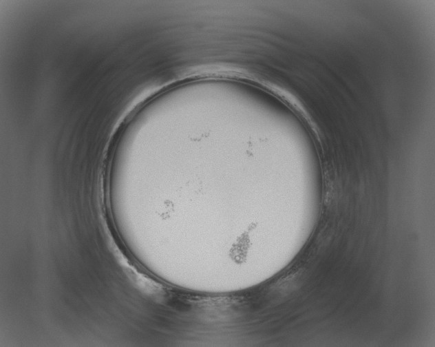 X0000080670999200701121628