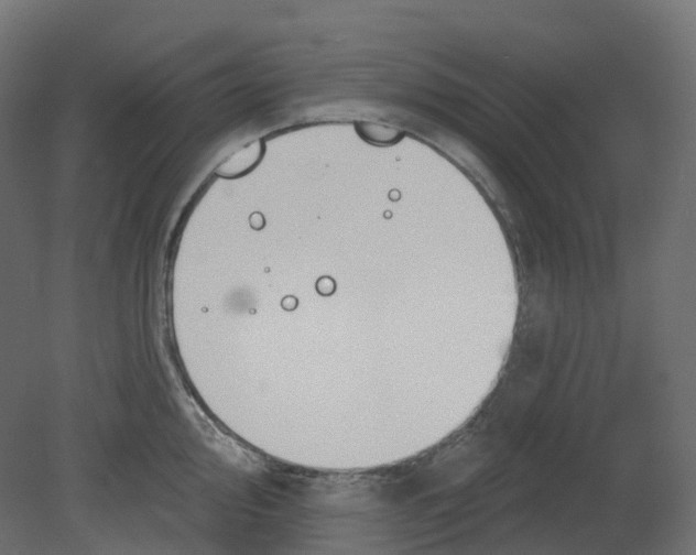 X0000080671000200701121628