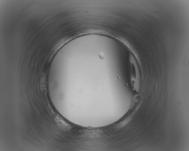 X0000080671001200701121628