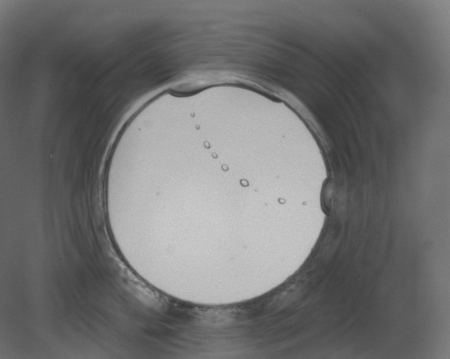 X0000080671004200701121628