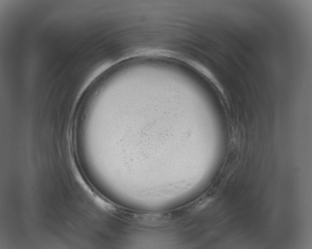 X0000080671007200701121627