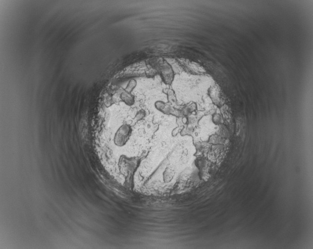 X0000080671011200701121627