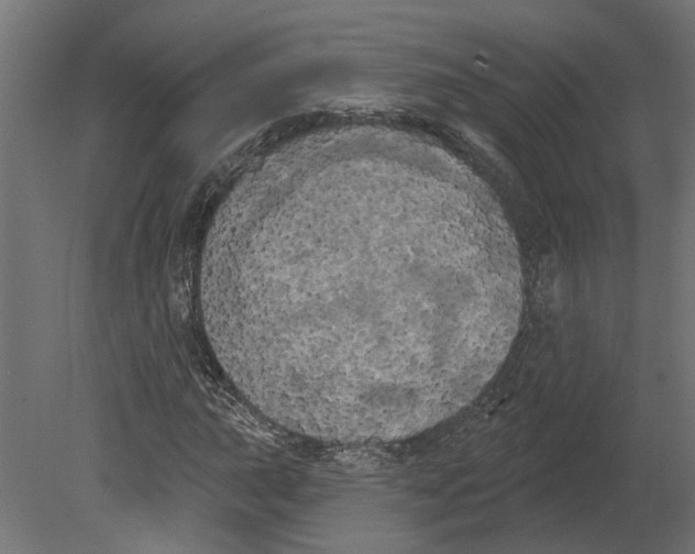 X0000080671015200701121627