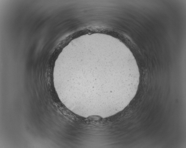 X0000080671016200701121627