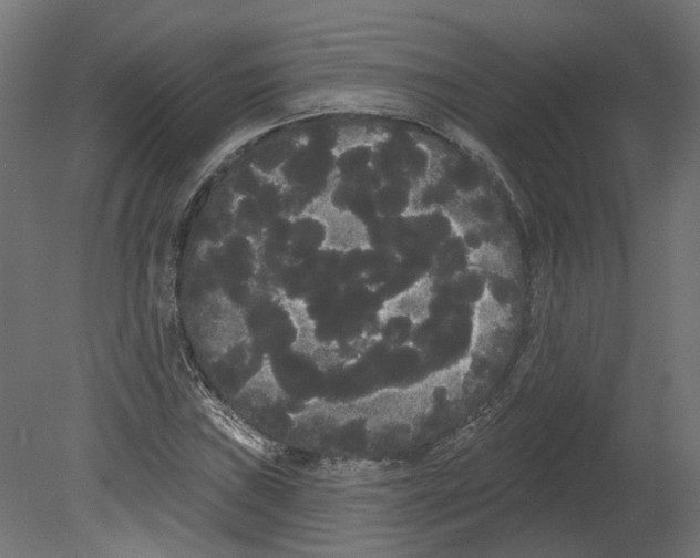 X0000080671019200701121627