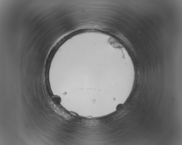 X0000080671020200701121627