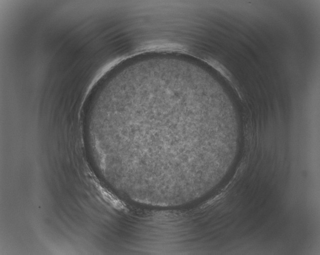 X0000080671022200701121627