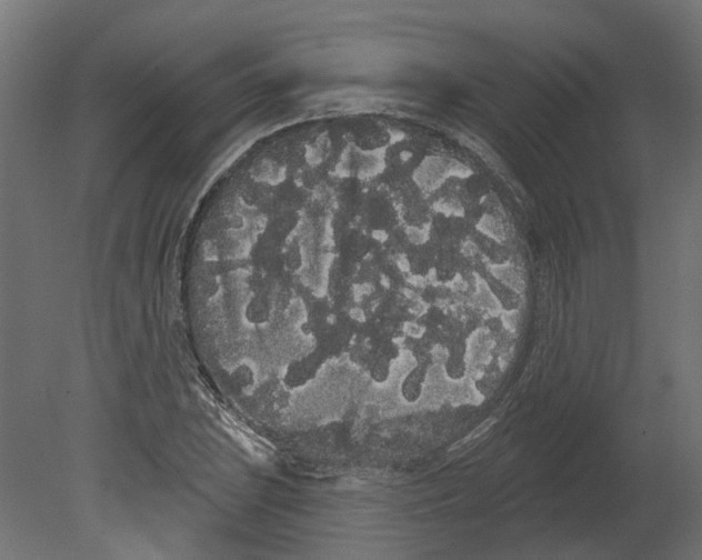 X0000080671023200701121627