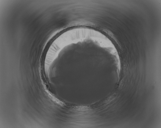 X0000080671024200701121627