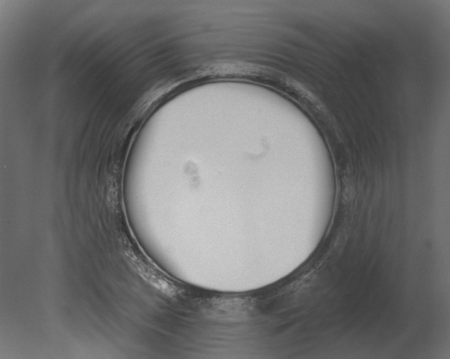 X0000080671025200701121627