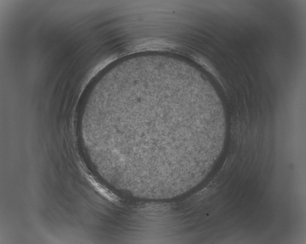 X0000080671026200701121627