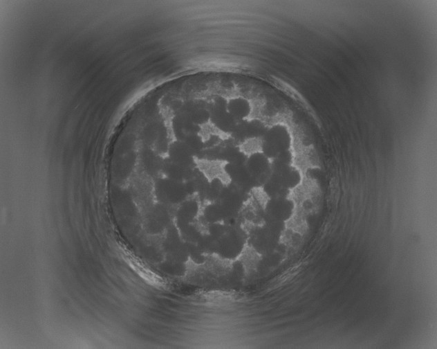 X0000080671027200701121627