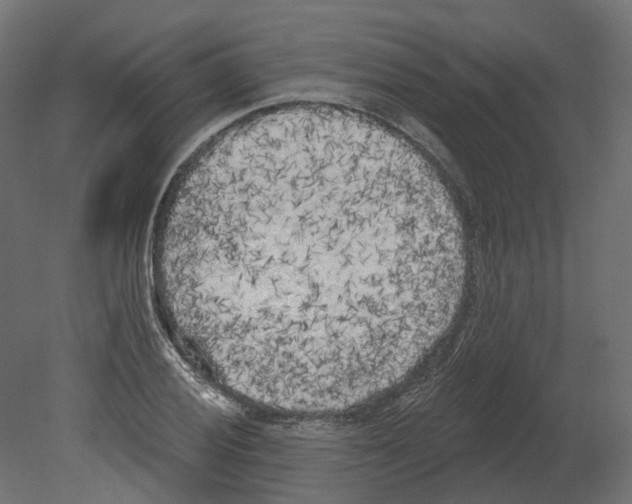 X0000080671028200701121627