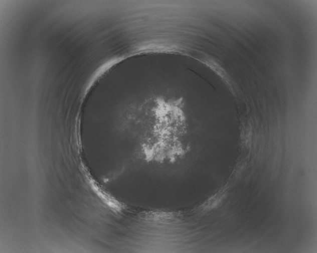 X0000080671030200701121627