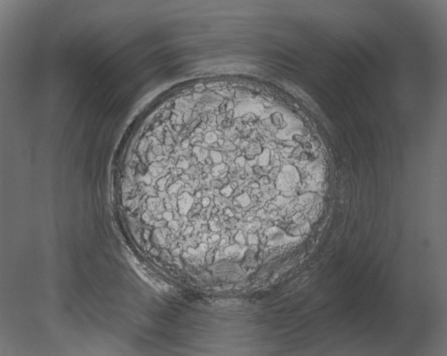 X0000080671031200701121627