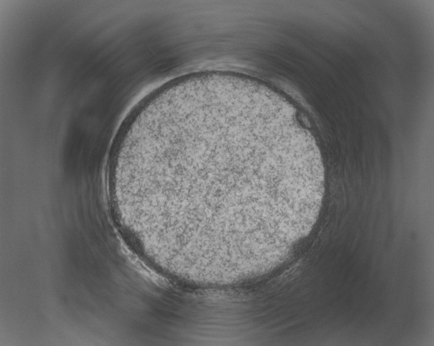 X0000080671032200701121627