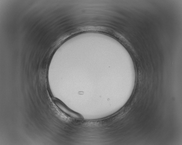 X0000080671033200701121627