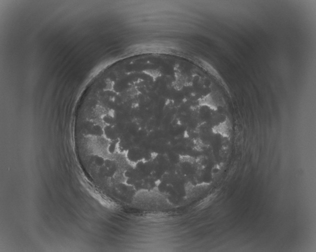 X0000080671035200701121627