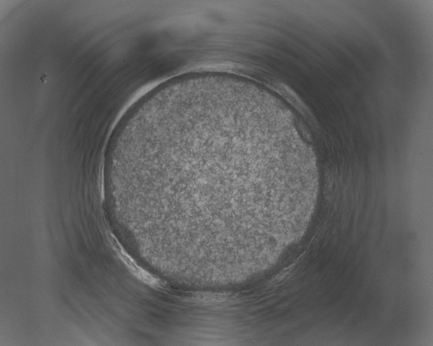 X0000080671036200701121627