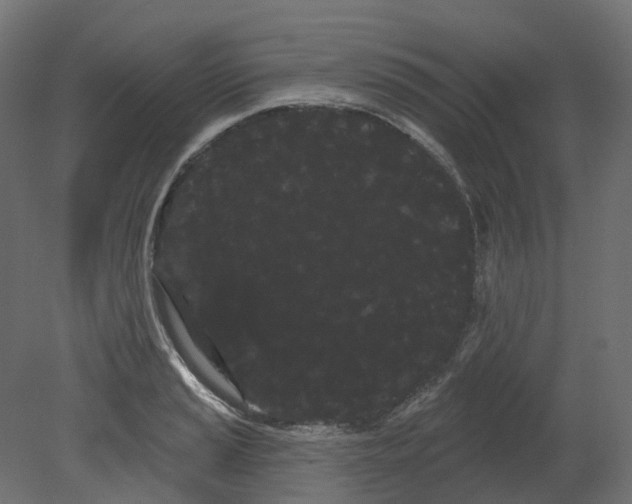 X0000080671037200701121627