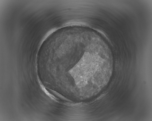 X0000080671038200701121627