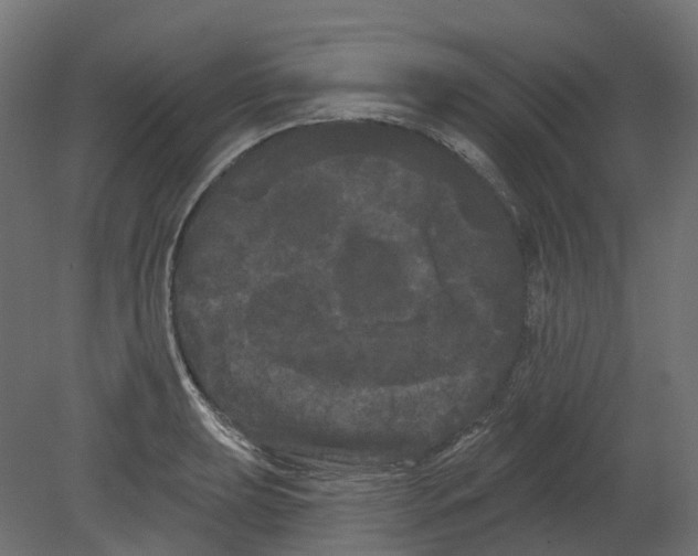 X0000080671039200701121627