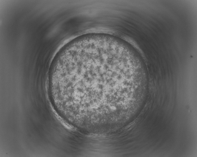 X0000080671040200701121627