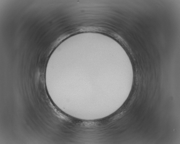 X0000080671041200701121627