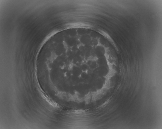 X0000080671043200701121627