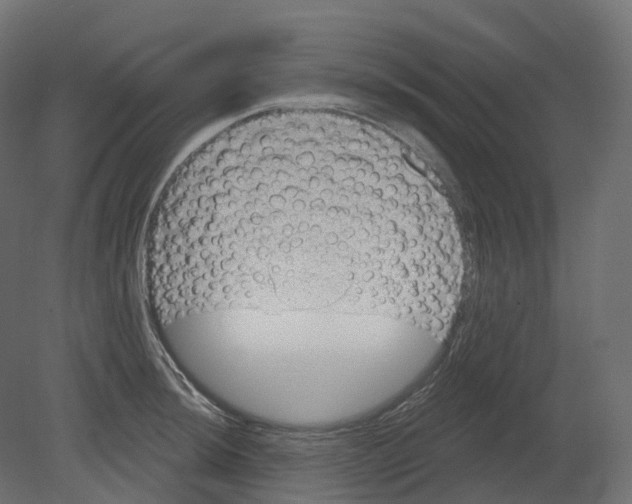 X0000080671044200701121627