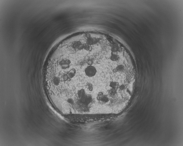 X0000080671045200701121627