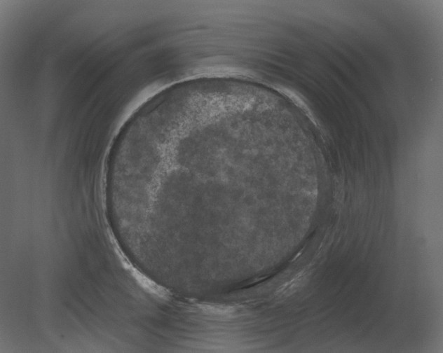 X0000080671046200701121627