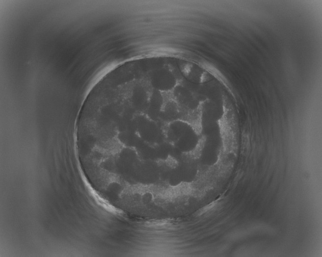 X0000080671047200701121627