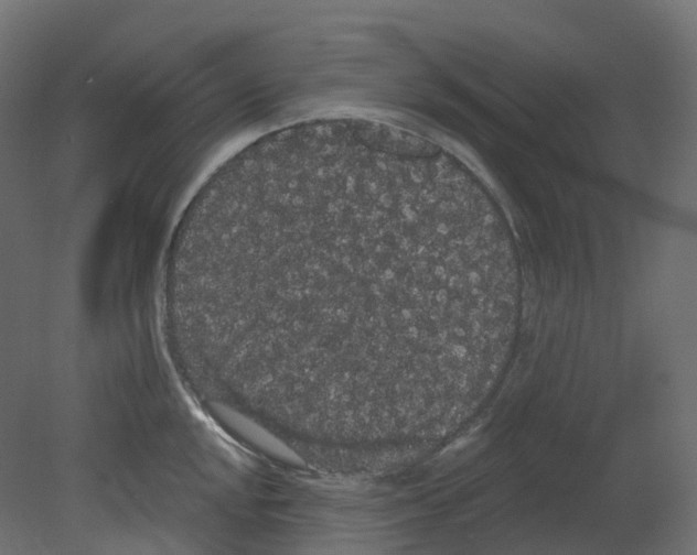 X0000080671048200701121627