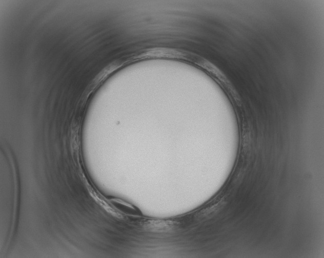 X0000080671049200701121627