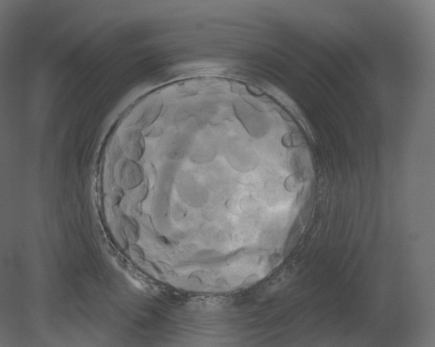 X0000080671051200701121627