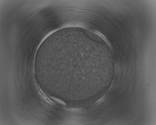 X0000080671052200701121627