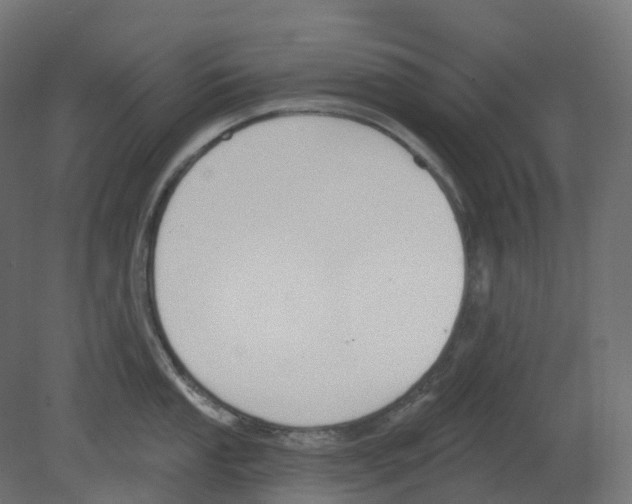 X0000080671053200701121627