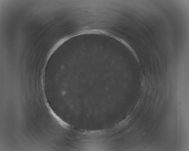 X0000080671054200701121627