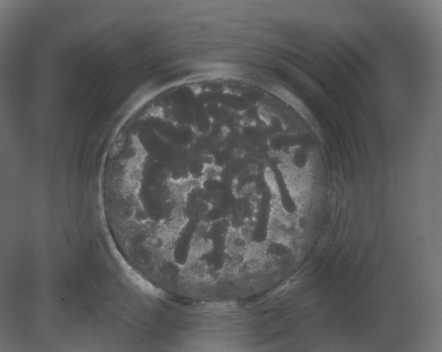 X0000080671055200701121627