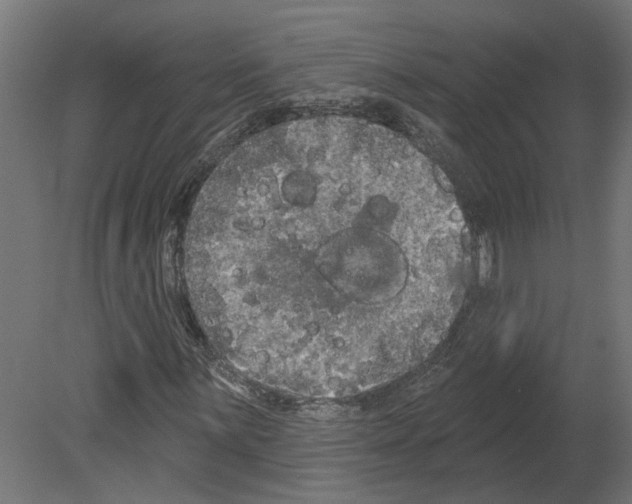 X0000080671059200701121627