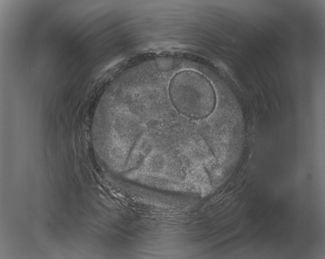 X0000080671063200701121627