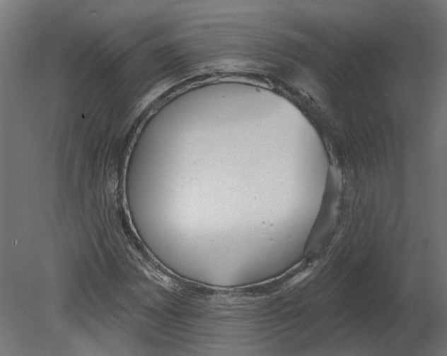 X0000080671065200701121626